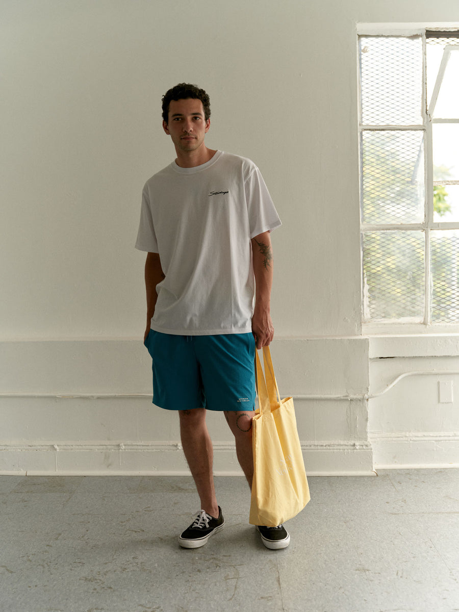 Timothy Seersucker Stripe Swim Short | Saturdays NYC