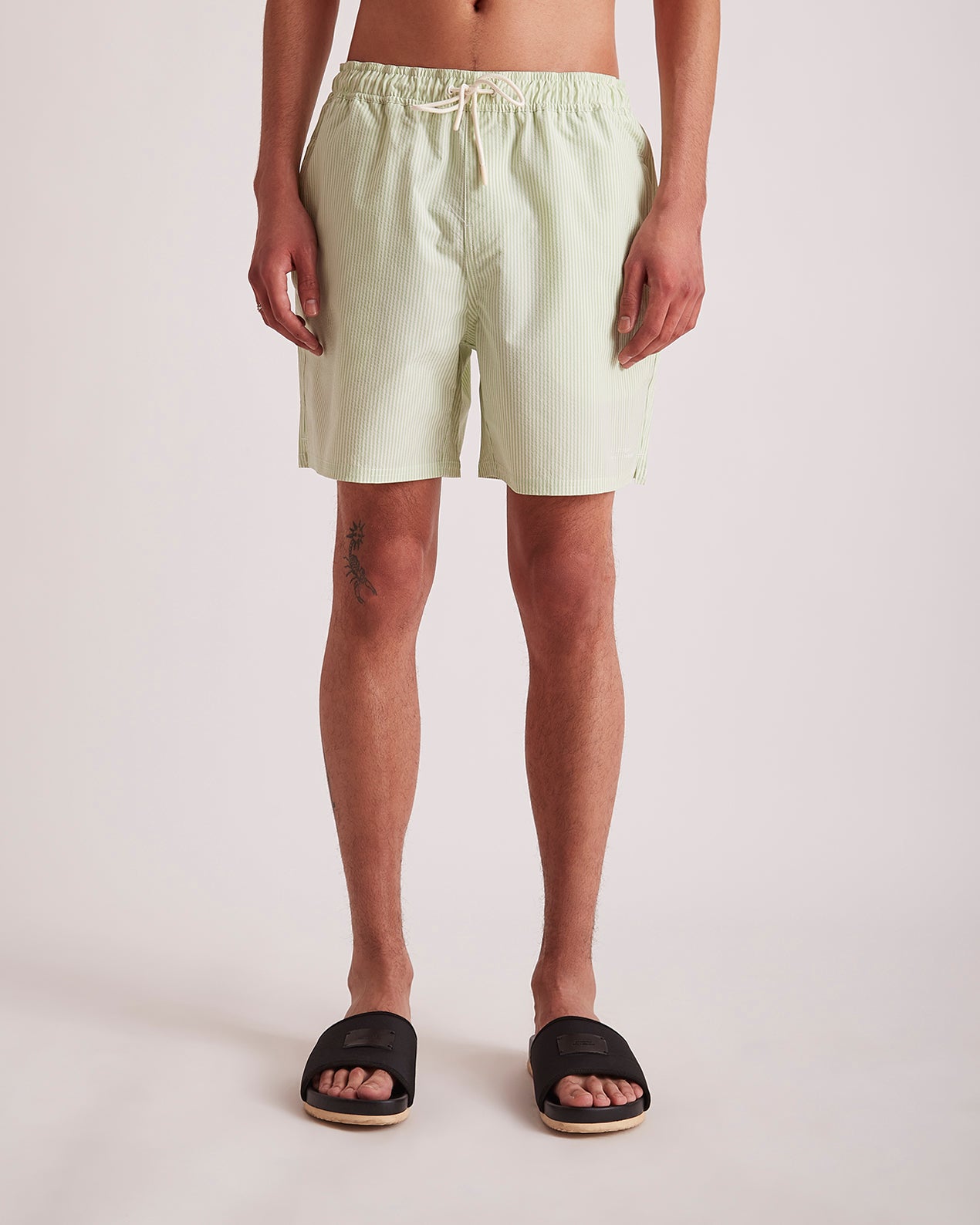 THE TOÉ HUDSON STRIPE SHORT PANTS Hudson Stripe Short Pants – THE TOÉ